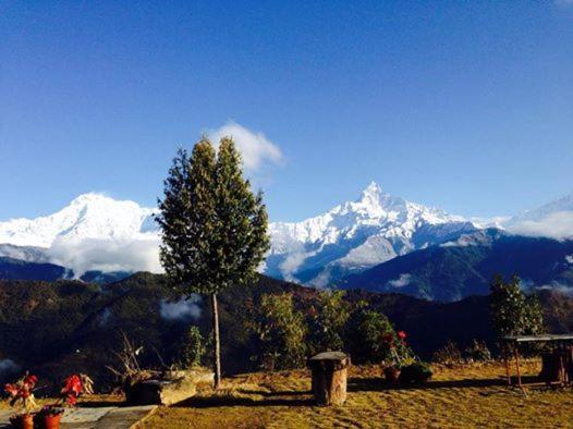 Himalayan Deurali Resort Pokhara Kültér fotó